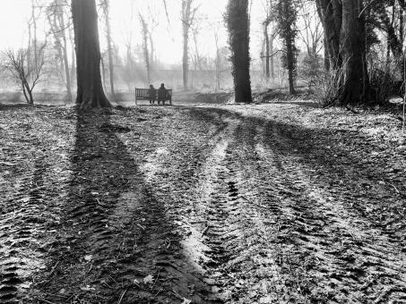 working with family estrangement