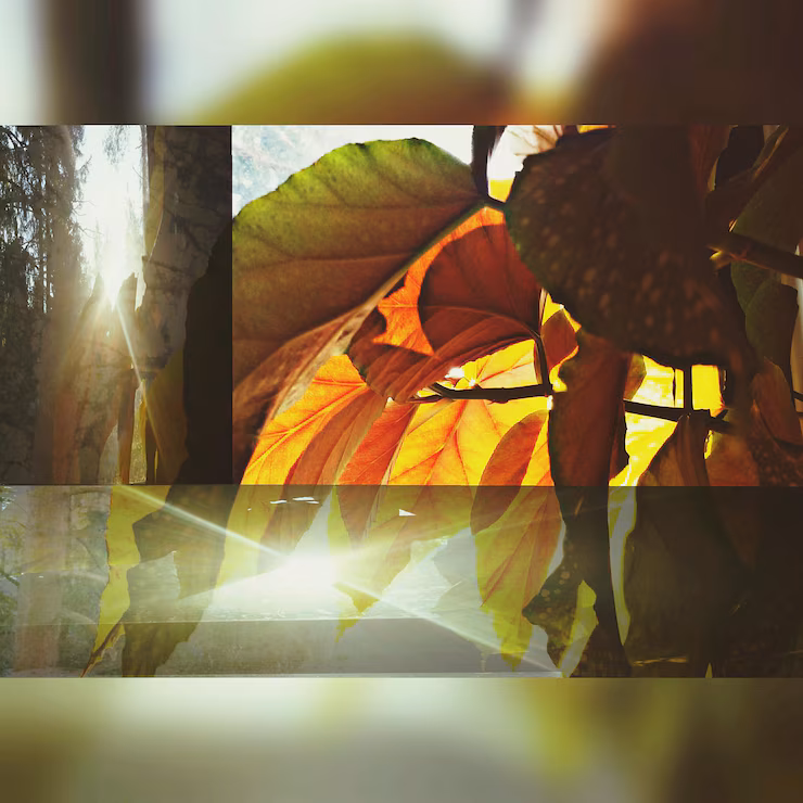 close-up-leaf_1048944-20505954.jpg narrative therapy couples training mental health counselor PESI